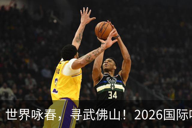 世界咏春，寻武佛山！2026国际咏春拳大赛7月开赛