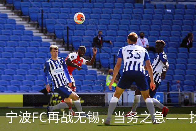 宁波FC再战无锡，当务之急——找到外援托莫维奇的使用说明书