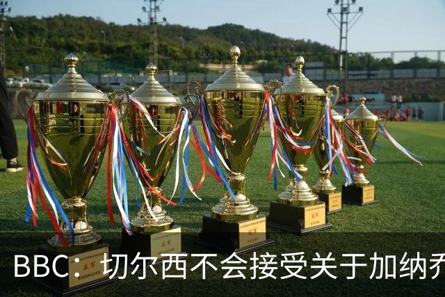 BBC：切尔西不会接受关于加纳乔的租借报价，只考虑永久出售